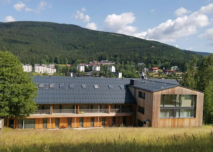 Apartman_alpina 公寓 Špindlerŭv Mlýn